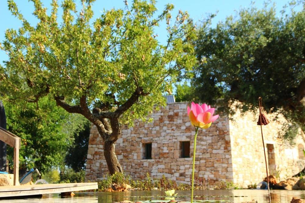 Il Fiore Della Vita Trulli Country House Conversano Exterior photo